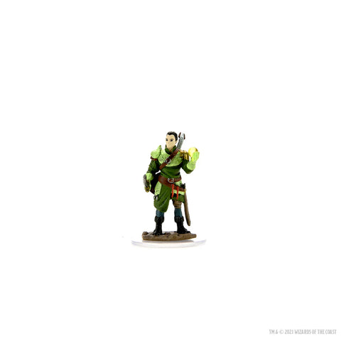 D&D Icons of the Realms: Male Half-Elf Bard