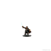 D&D Icons of the Realms Premium Figures: / Dwarf Paladin Female
